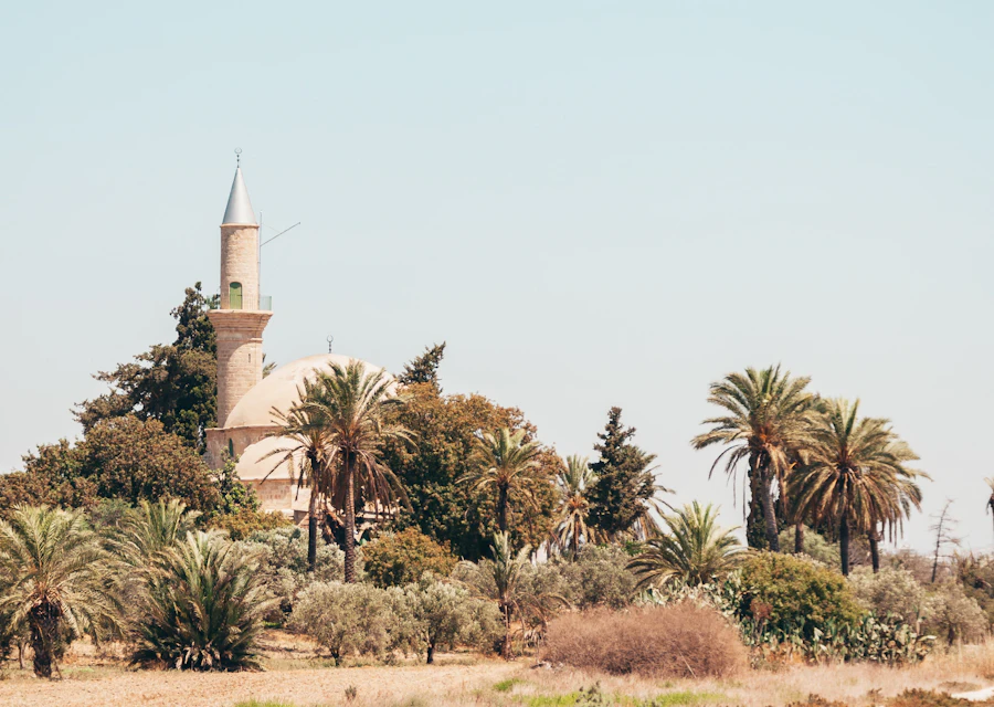 Hala Sultan Tekke and palm trees in Larnaca, Cyprus